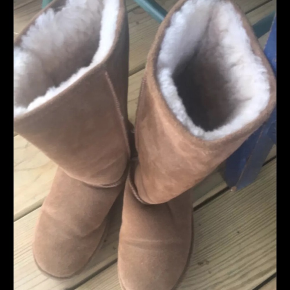 bear claw size ten